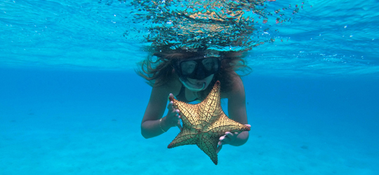 Anchorage Yacht Club Union Island | Caribbean Oceanfront Resort